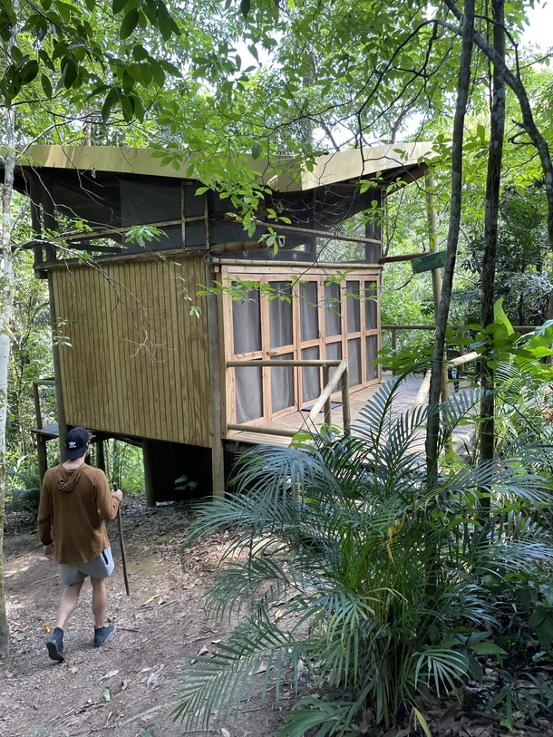 Jay Bittner hiking through the jungle of Minca, Colombia